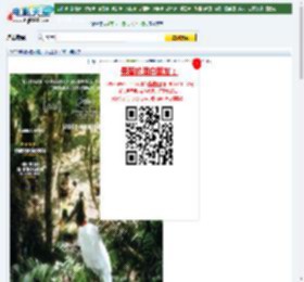 2023年阿根廷剧情片《尤里卡》BD中英双字迅雷下载_电影天堂