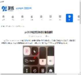 pr2020视频如何镜像翻转